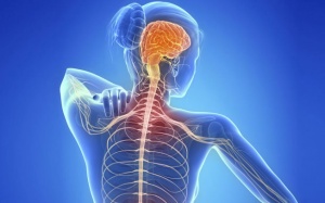 Video: Ăn quá nhiều muối có thể gây bệnh đa xơ cứng