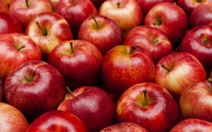 Một quả táo mỗi ngày, tại sao không?