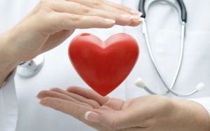 Bị cholesterol cao nên hạn chế ăn gì?