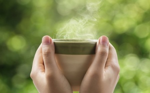 Tại sao người bị viêm ruột không nên uống trà xanh khi bổ sung sắt?