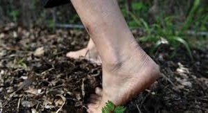 Căn bệnh do 'vi khuẩn ăn thịt người' gây ra nguy hiểm như thế nào?