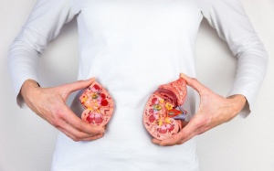 Những biện pháp đơn giản giúp giảm nguy cơ mắc bệnh thận