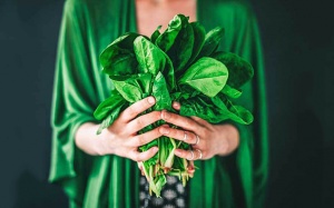 Cách kết hợp 5 loại rau xanh trong bữa ăn để giảm mỡ bụng hiệu quả