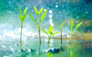 Mưa dông vẫn tiếp diễn ở khu vực phía Nam