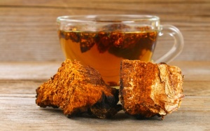 Trà nấm chaga rất quý, pha thế nào để không bị mất chất?