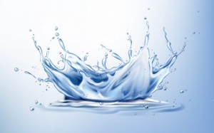 Vòng đời của nước, vòng đời của người?