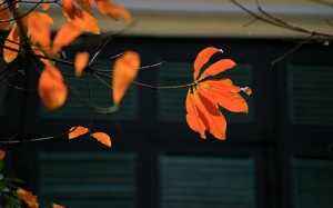 Nắng hanh ở miền Bắc còn kéo dài