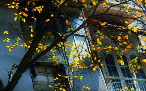 Bắc Bộ khô hanh, nhiệt độ ngày và đêm chênh lệch lớn