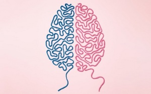 Bệnh Parkinson ở nam giới và nữ giới có gì khác biệt?