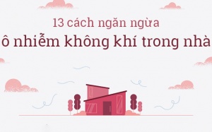 13 cách ngăn ngừa ô nhiễm không khí trong nhà đơn giản, hiệu quả