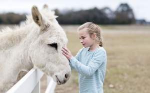 Tử vi thứ Năm (3/10/2019): Cự Giải sẽ dễ dàng thấu hiểu mọi người xung quanh