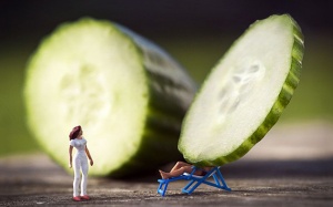 Ngoài cung cấp nước, dưa chuột còn có những lợi ích gì?