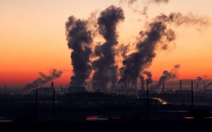 Độc tố trong môi trường làm suy yếu hệ thống miễn dịch qua nhiều thế hệ