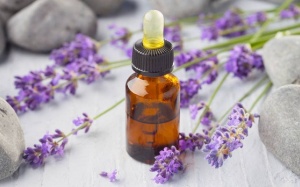 Ngủ ngon hơn nhờ mùi hương từ 15 loại thảo mộc này