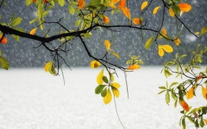 Thời tiết ngày 5/10: Bắc Bộ mưa dông đến hết ngày mai