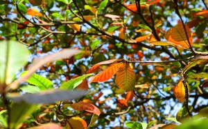 Dự báo thời tiết cả nước từ ngày 5/10 đến ngày 14/10