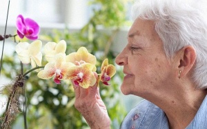 Mất khứu giác khi có tuổi có phải bình thường?