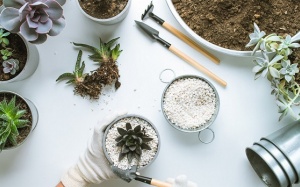 Tử vi thứ Bảy (5/10/2019): Xử Nữ muốn có một khu vườn nhỏ tại nhà