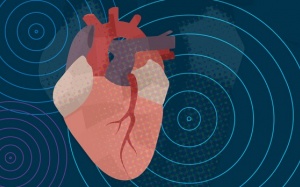 Rung nhĩ: Bạn đã biết đâu là nguyên nhân và cách điều trị bệnh?