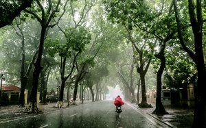 Dự báo thời tiết 8/10: Hà Nội chiều tối có mưa rào và dông vài nơi