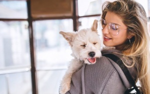 Nuôi chó giúp kéo dài tuổi thọ của bạn như thế nào?