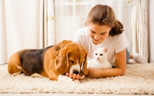 Tử vi thứ Bảy (12/10/2019): Bạch Dương sẽ rất vui khi ở bên người mình tin tưởng