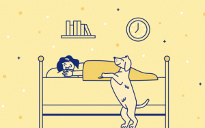 Có nên ngủ cùng với chú cún cưng của bạn?