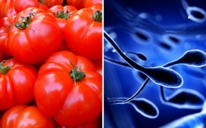 Ăn cà chua có thể giúp nam giới cải thiện chất lượng 'tinh binh' 