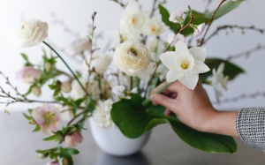 Chỉ cách cắm hoa cho người mới học