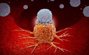 Liệu pháp miễn dịch mới giúp 'săn lùng' các tế bào ung thư 'ẩn mình'