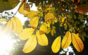 Thời tiết ngày 22/10: Bắc Bộ nắng ráo trước khi đón không khí lạnh