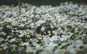 Thời tiết 25/10: Không khí lạnh tăng cường, Bắc Bộ chuyển lạnh