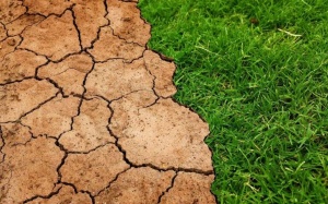 Sự nóng lên toàn cầu làm gia tăng các bệnh do thiếu dinh dưỡng