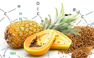 Khó tiêu khi ăn nhiều thịt, có thể bạn cần các enzyme phân giải protein