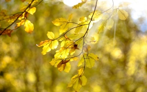 Thời tiết ngày 23/11: Bắc Bộ nắng ráo, Nam Bộ cẩn thận triều cường