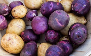 Khoai tây tím 'độc lạ' với rất nhiều lợi ích sức khỏe