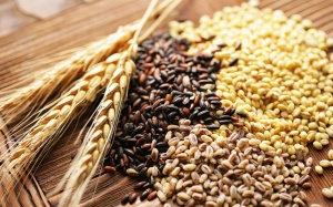 Ăn ngũ cốc nguyên hạt có làm giảm huyết áp? 