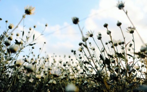 Thời tiết 28/11: Miền Bắc liên tục đón không khí lạnh tăng cường