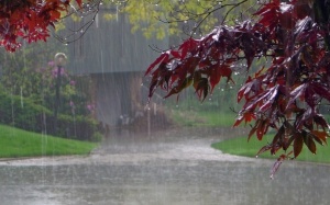 Thời tiết ngày 29/11: Không khí lạnh gây mưa lớn diện rộng ở Trung Bộ