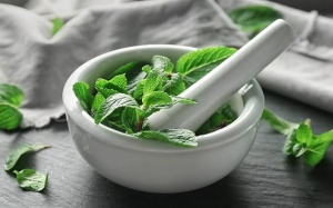 Tía tô đất giúp chống viêm, cải thiện tâm trạng và nhiều lợi ích khác