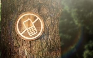 5 xu hướng chăm sóc sức khỏe mới mẻ bạn cần biết trong năm 2020