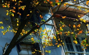 Thời tiết ngày 5/12: Bắc Bộ tiếp tục rét và khô hanh