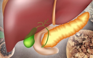 Thảo dược lợi mật có đồng thời giúp bổ gan?