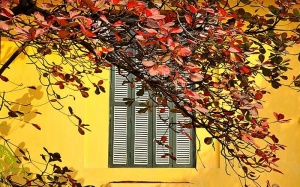 Thời tiết cả nước từ ngày 7/12 đến ngày 16/12 như thế nào?