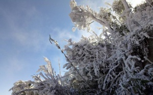 Thời tiết ngày 12/12: Bắc Bộ tiếp tục có băng giá và sương muối