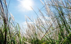 Thời tiết ngày 13/12: Không khí lạnh suy yếu, Bắc Bộ tăng nhiệt