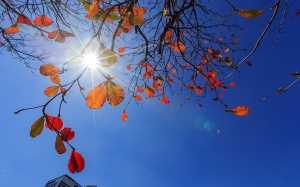 Thời tiết ngày 17/12: Bắc Bộ nắng ấm trước khi bước vào đợt rét mới