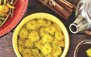 6 loại trà thảo dược giúp cải thiện tiêu hóa