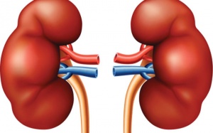 Những dấu hiệu cảnh báo sớm bệnh sỏi thận bạn không thể bỏ qua