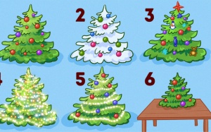 Chọn cách trang trí cây thông Noel để biết tính cách của bạn như thế nào?